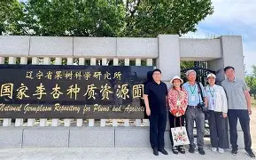 开云中国-袠薪褑械褋裈hd
